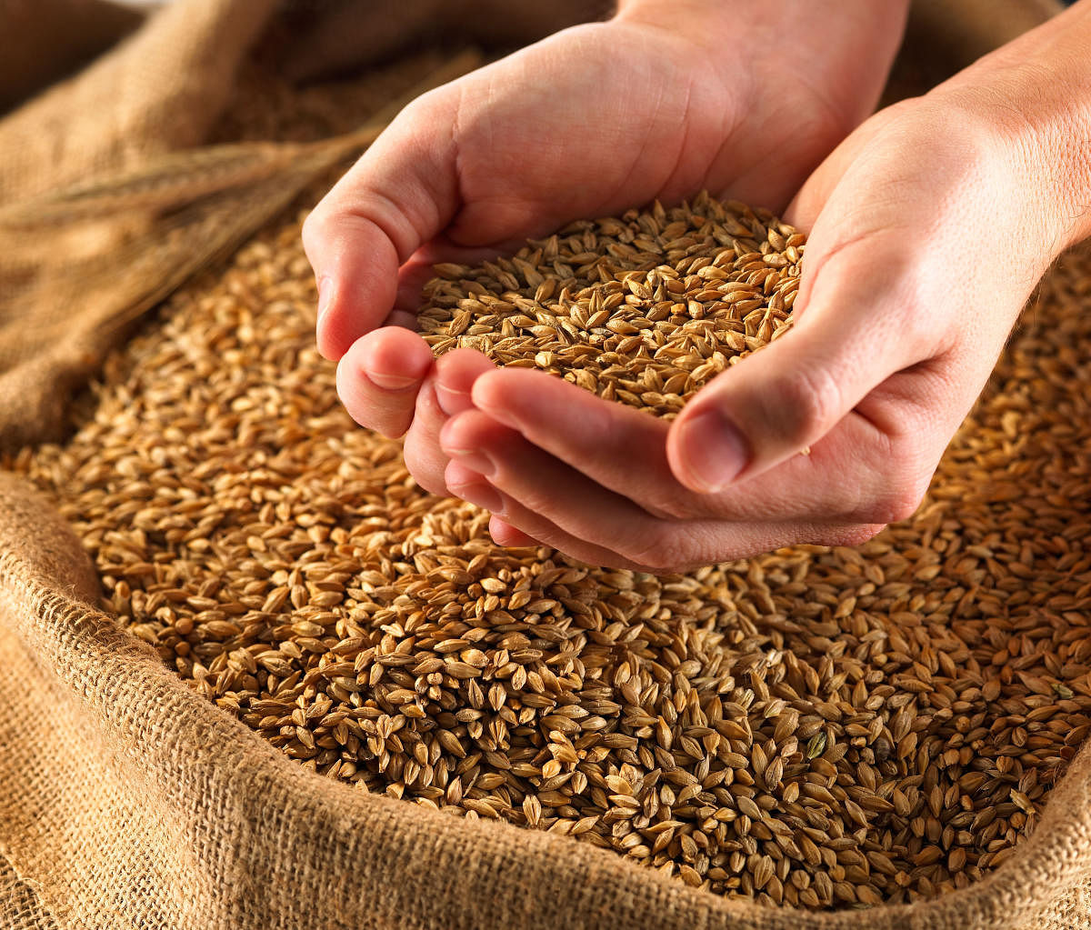 Govt expects to achieve foodgrain target for 2019-20