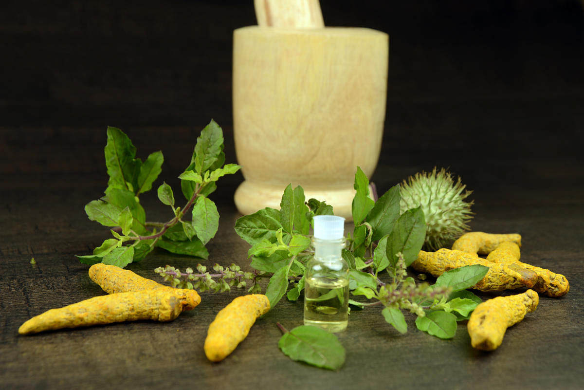 Whiff of ayurveda for asthma