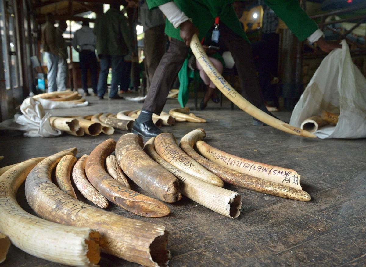 Yahoo Japan ending ivory sales, joining competitors