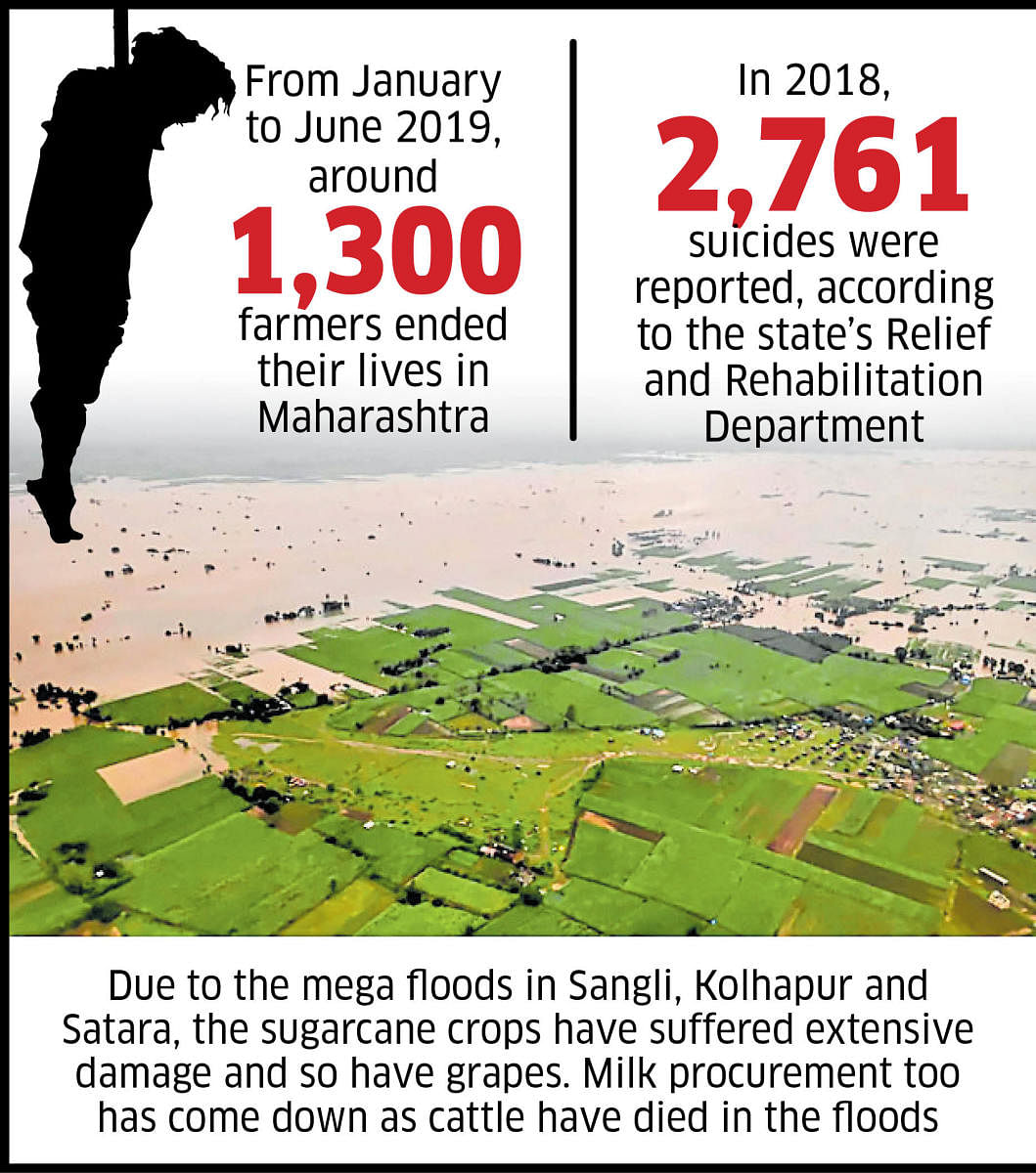 Maharashtra agri crisis: No end in sight 
