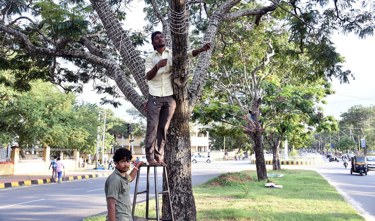 Dasara: Cesc plans unique concepts of illumination