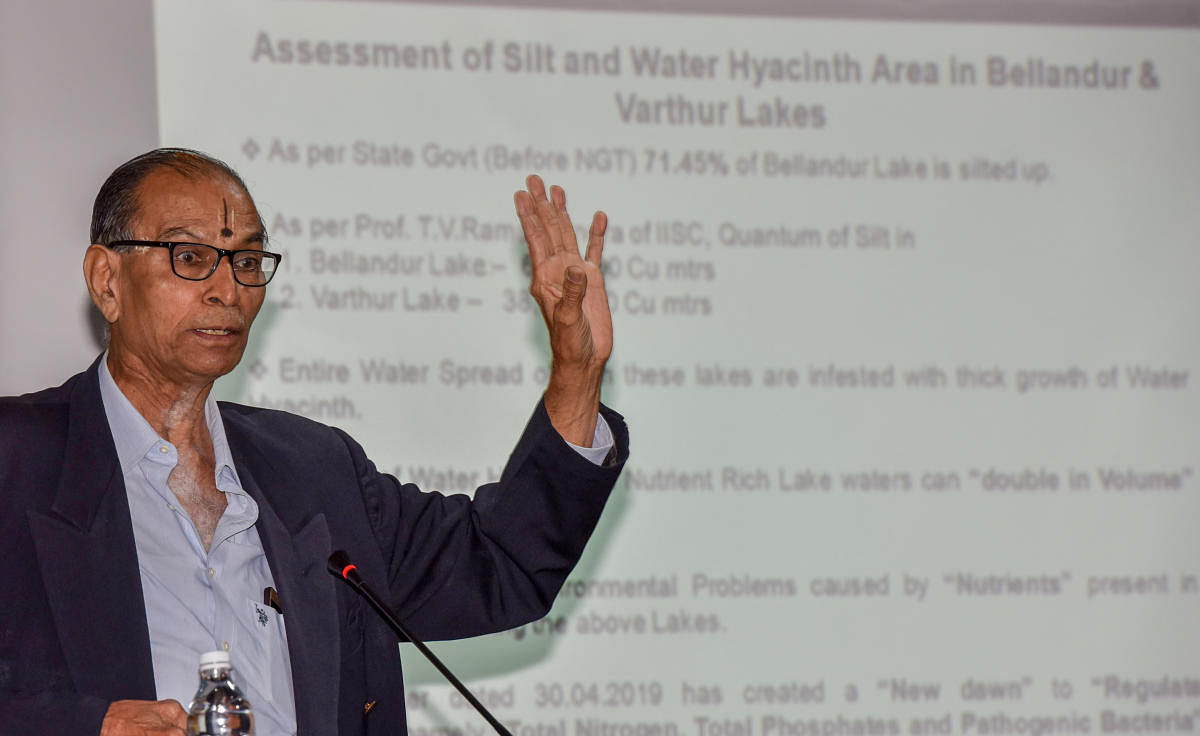 Ban phosphate in detergents to save lakes: experts
