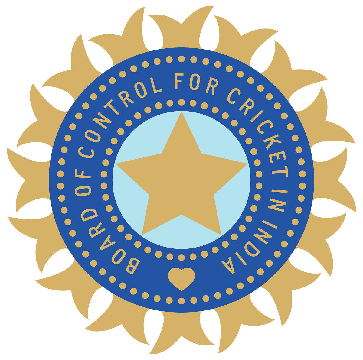 CoA's decision arbitrary and wrong: Former BCCI lawyer