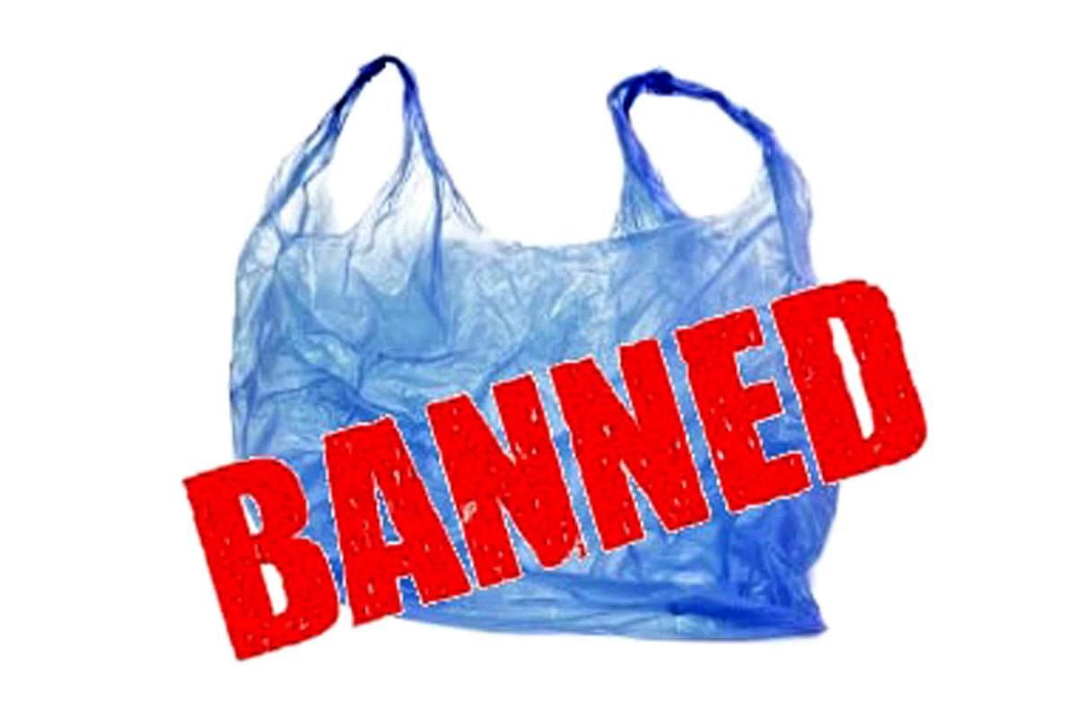 Why Plastic Bags Should Be Banned Debate | SEMA Data Co-op