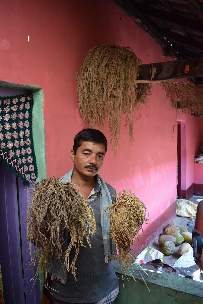 The kernel of rice conservation