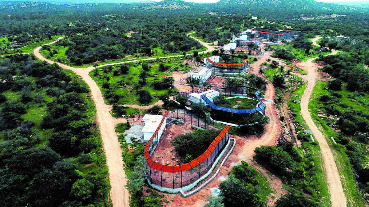 Atal zoological park will get a full-fledged zoo in Nov