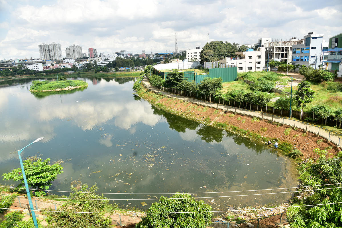 'Just beautification of lakes won’t suffice'