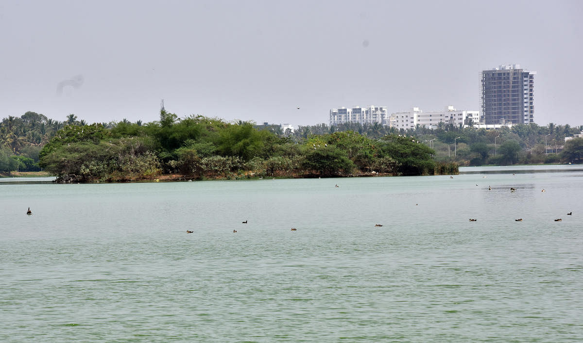 Govt officials, activists split over lake rejuvenation