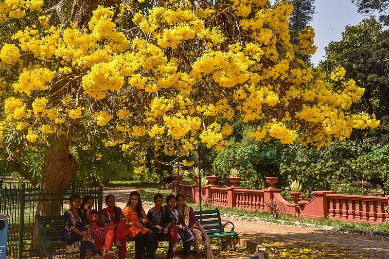 Discovering Bengaluru: Lalbagh was earlier five gardens