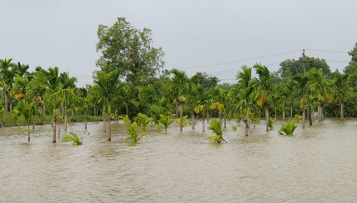 Heavy rain in Belagavi; flood threat in river Krishna