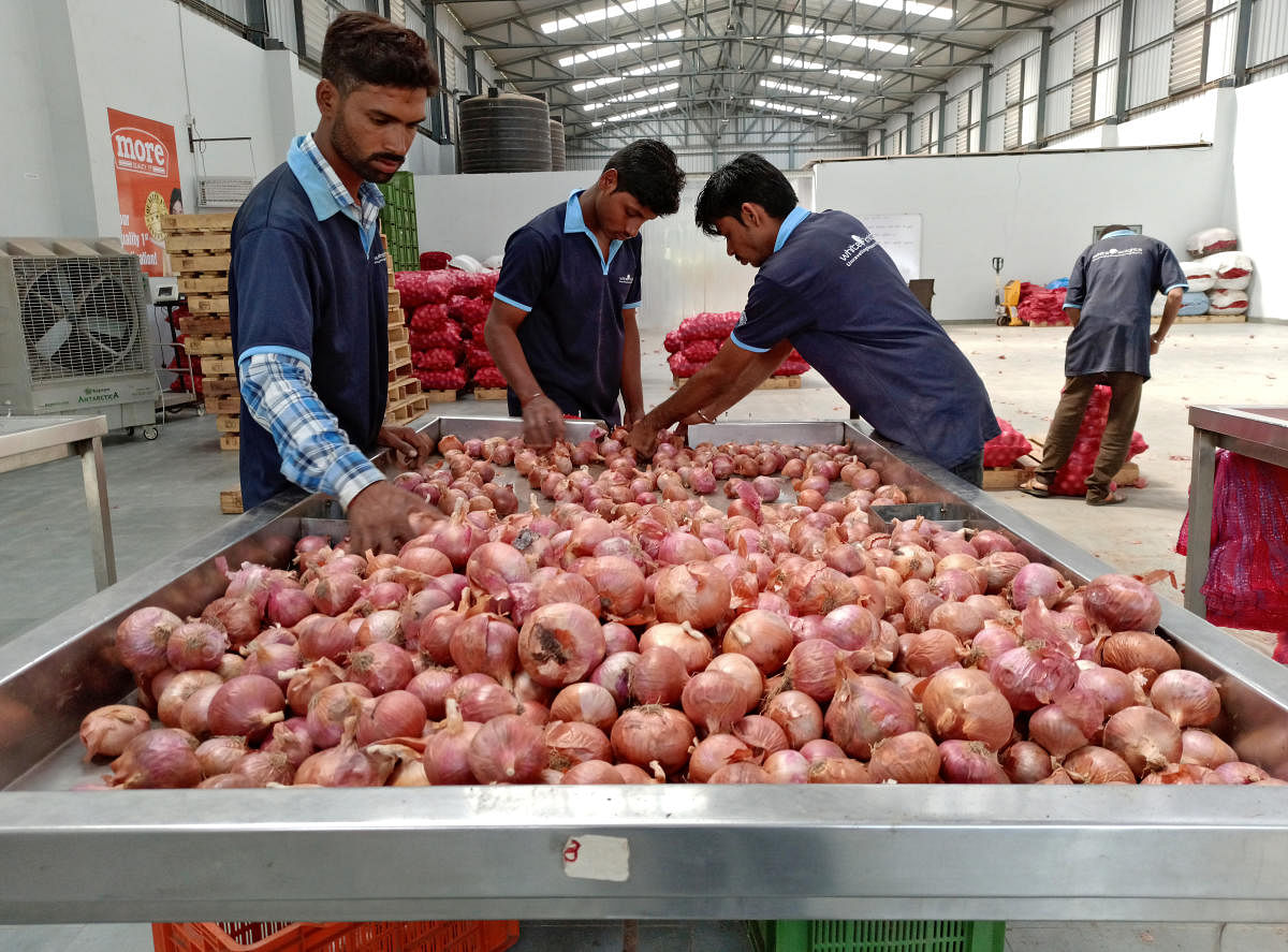 India may extend onion export ban to February