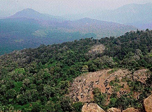 BR Hills: 262 sqkm declared as eco-sensitive zone