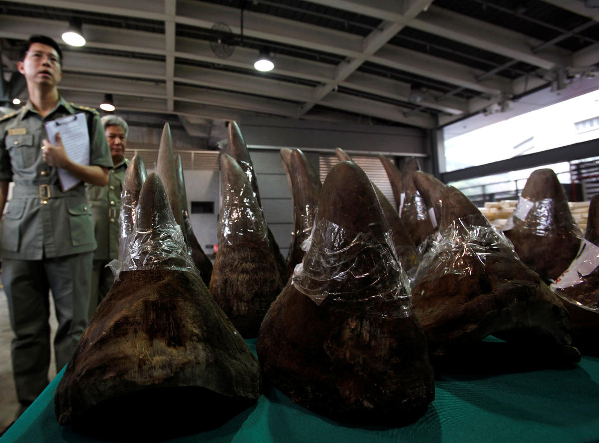 S.Africa police seize tiger carcasses, 100 rhino horns