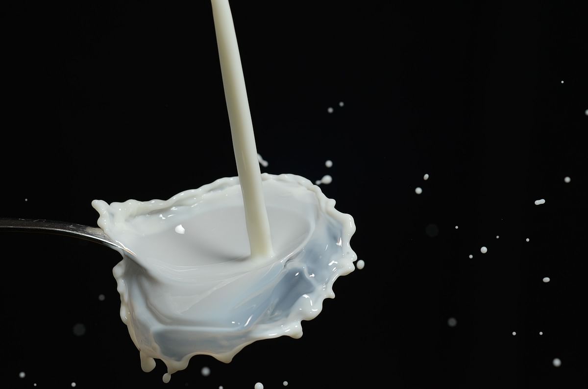 1 litre 'milk' for 81 kids at UP school, teacher sacked