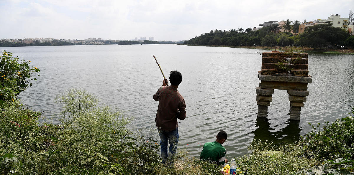 Bengaluru’s lakes: What ails them?