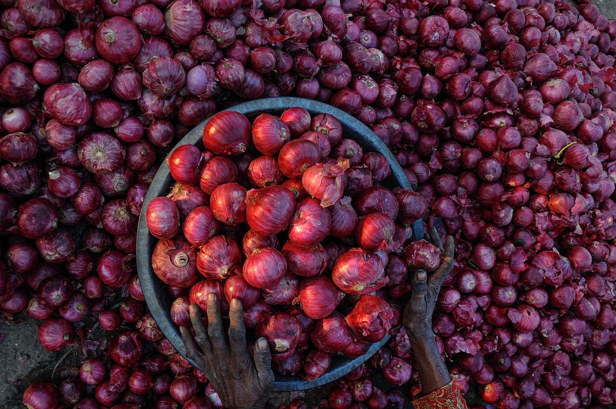 Onion export duty is 'timely' move to boost domestic supply, check price rise: Govt - Vimarsana News
