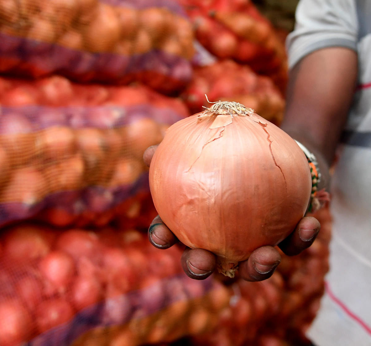 Govt caps stock limit on onion retailers to 2 tons