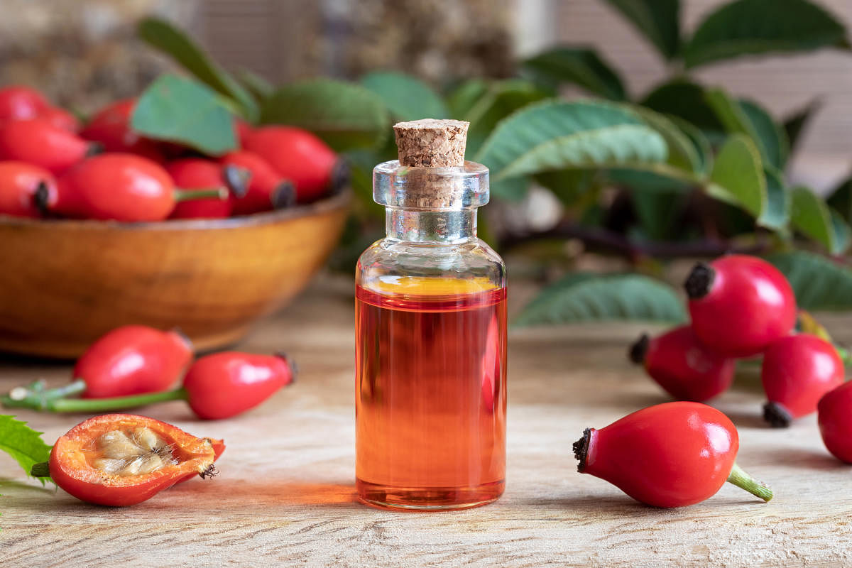 Rosehip oil beats the chill