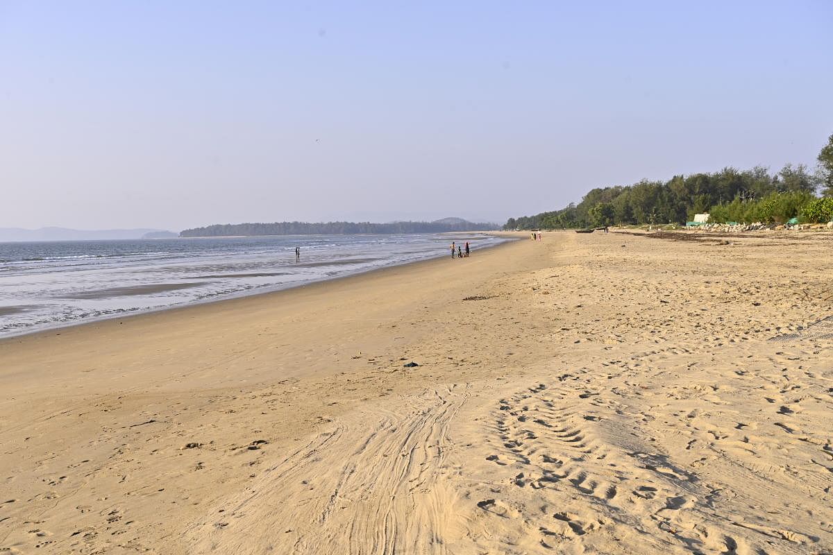 Receding sea adds 150 hectares to Karwar coast