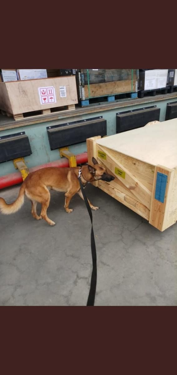 Police deploy canines at KIA to detect drugs in cargo