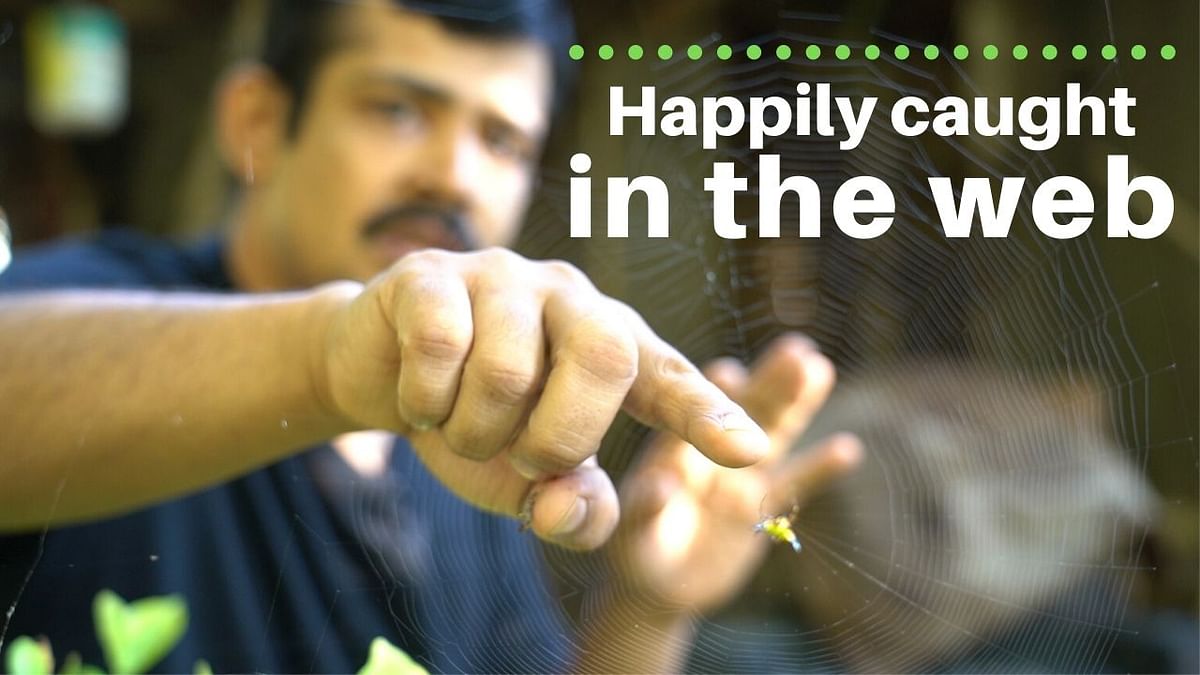 DH Changemakers | Happily caught in the web