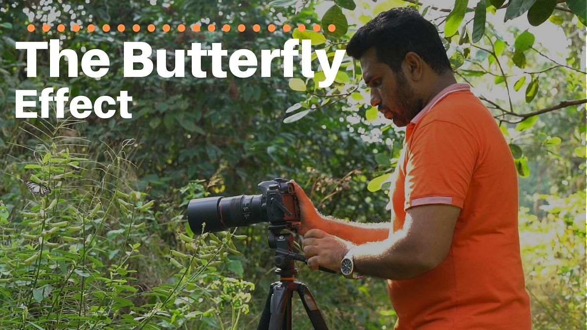 DH Changemakers | Giving wings to conservation