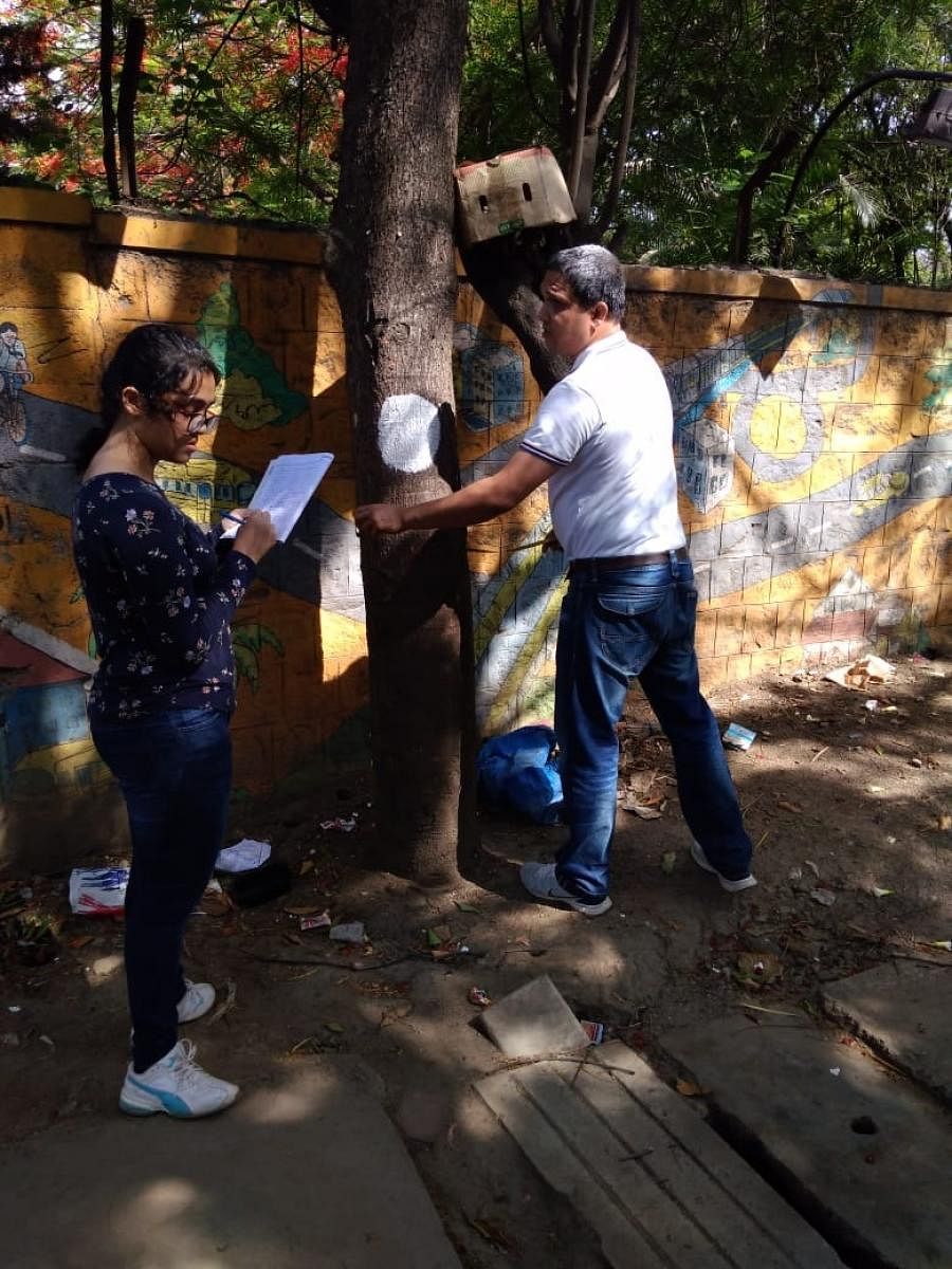 App delay halts Bengaluru's tree census volunteers 