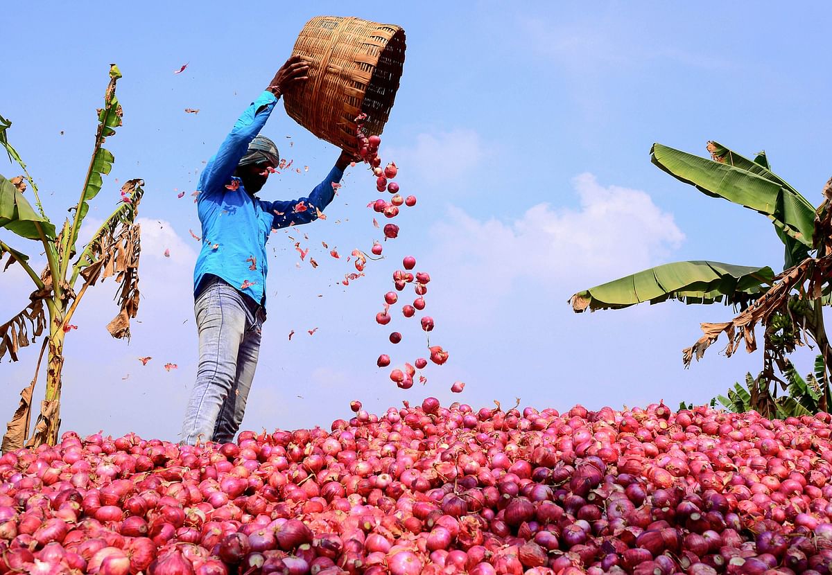 States shun imported onions, Centre fears stock may rot