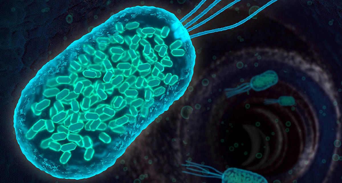 A new way to fight resistant bacteria