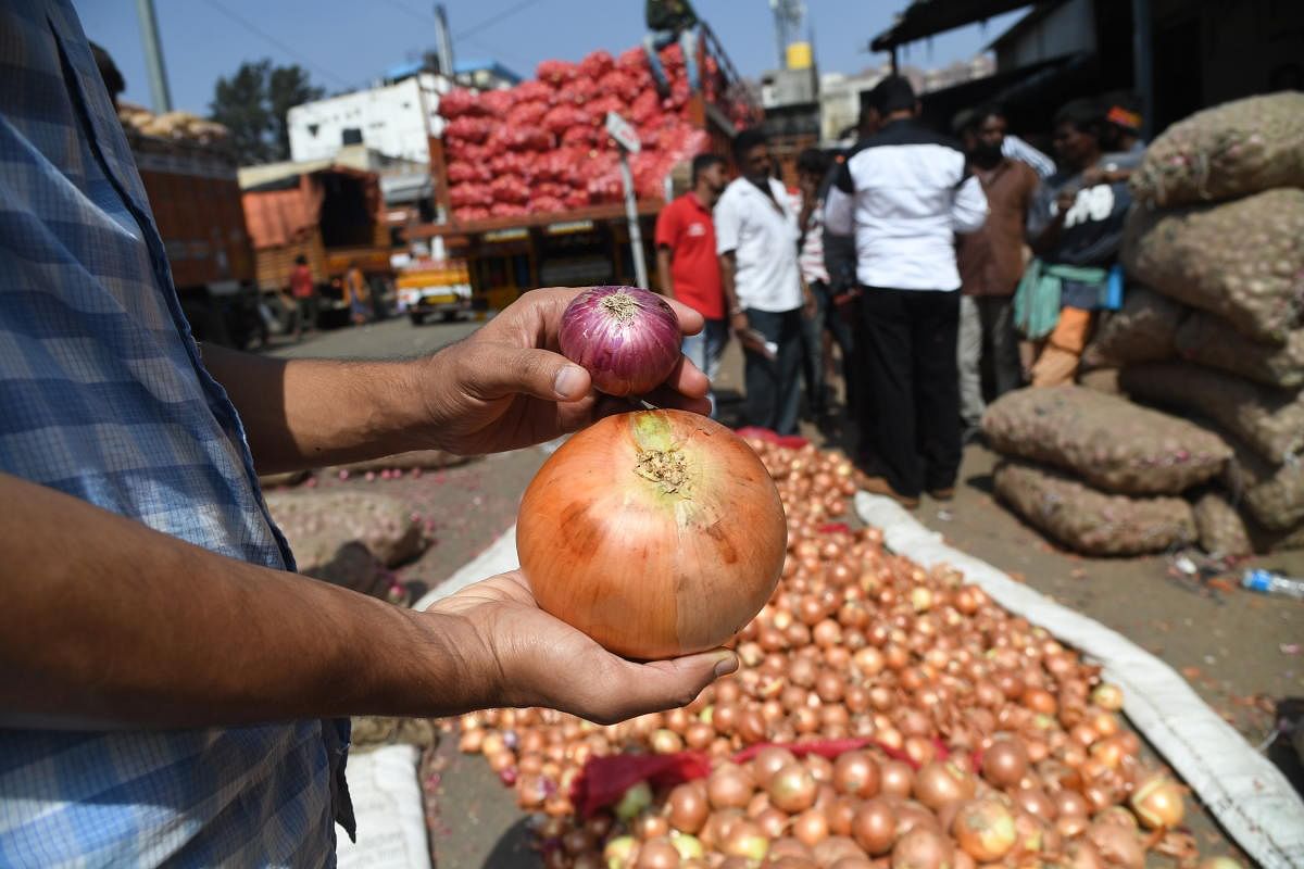 Imported onions rot as local produce hits market in Bengaluru