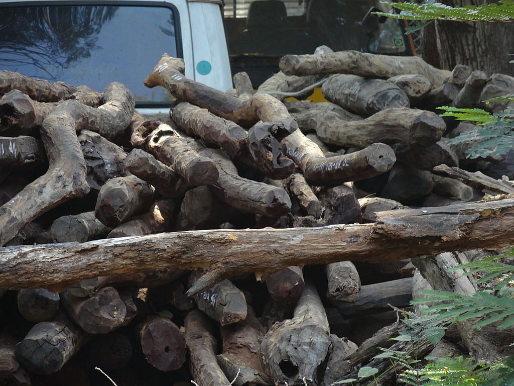 Nepal to handover 173,072 kg of red sandalwood to India confiscated while being supplied to China