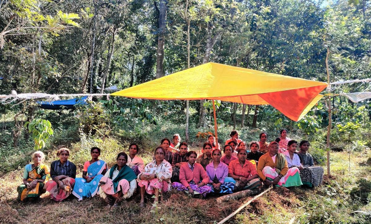 Houseless labourers put up tents on gomala land in Kumbaladike