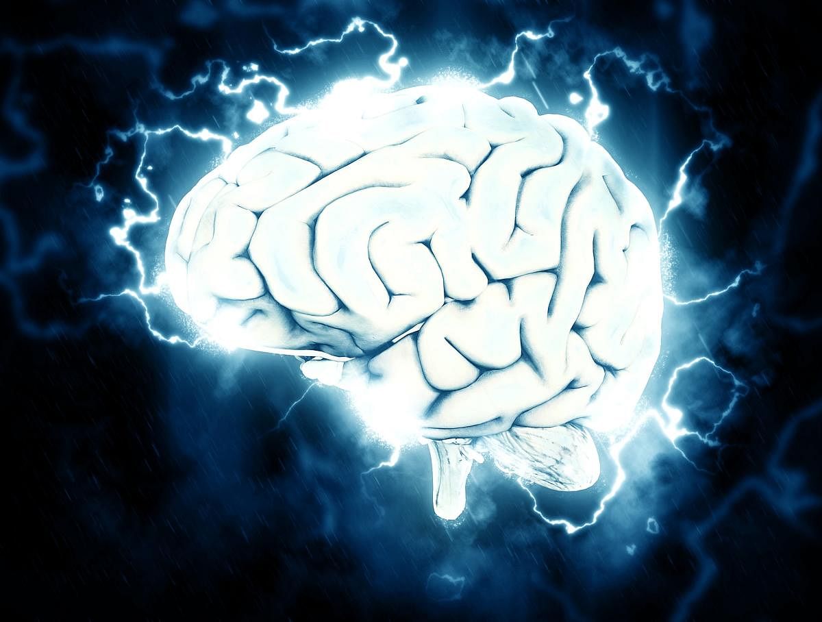 'Brain region influencing all human emotions mapped'