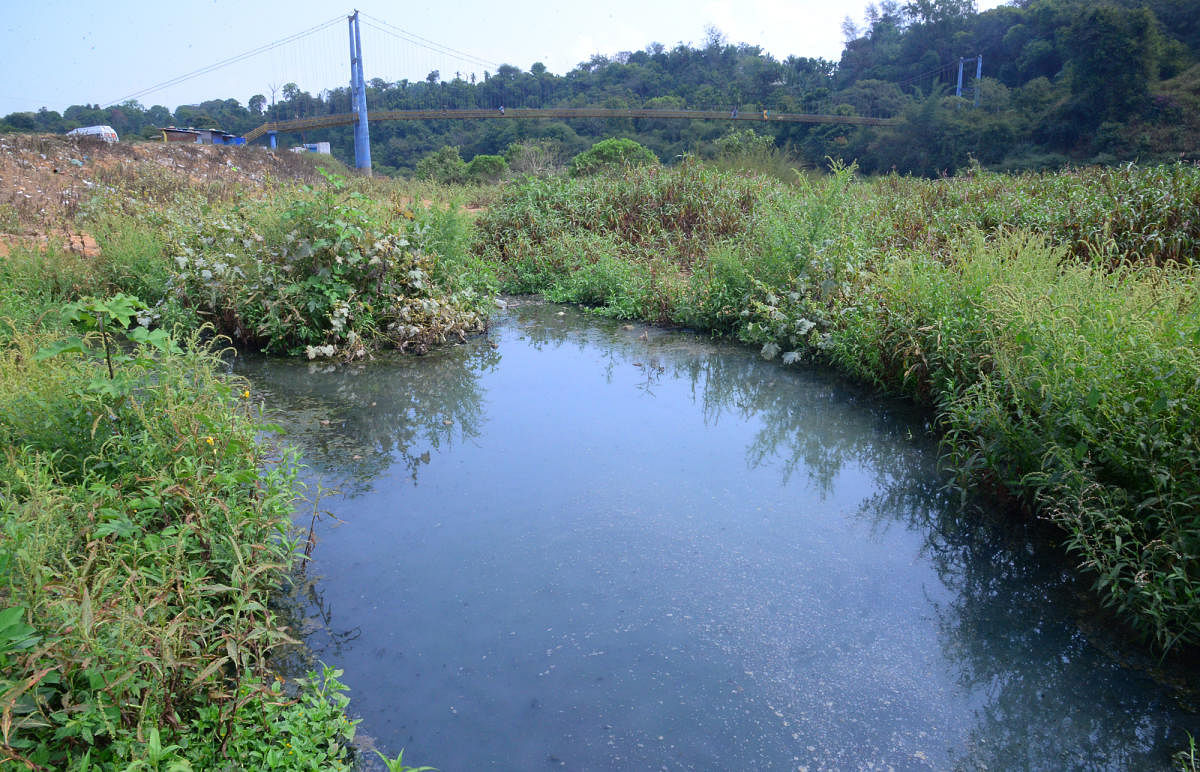 Increasing pollution of River Tunga a cause for concern