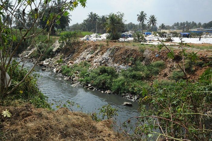 DC orders removal of encroachment on Veerasandra Lake