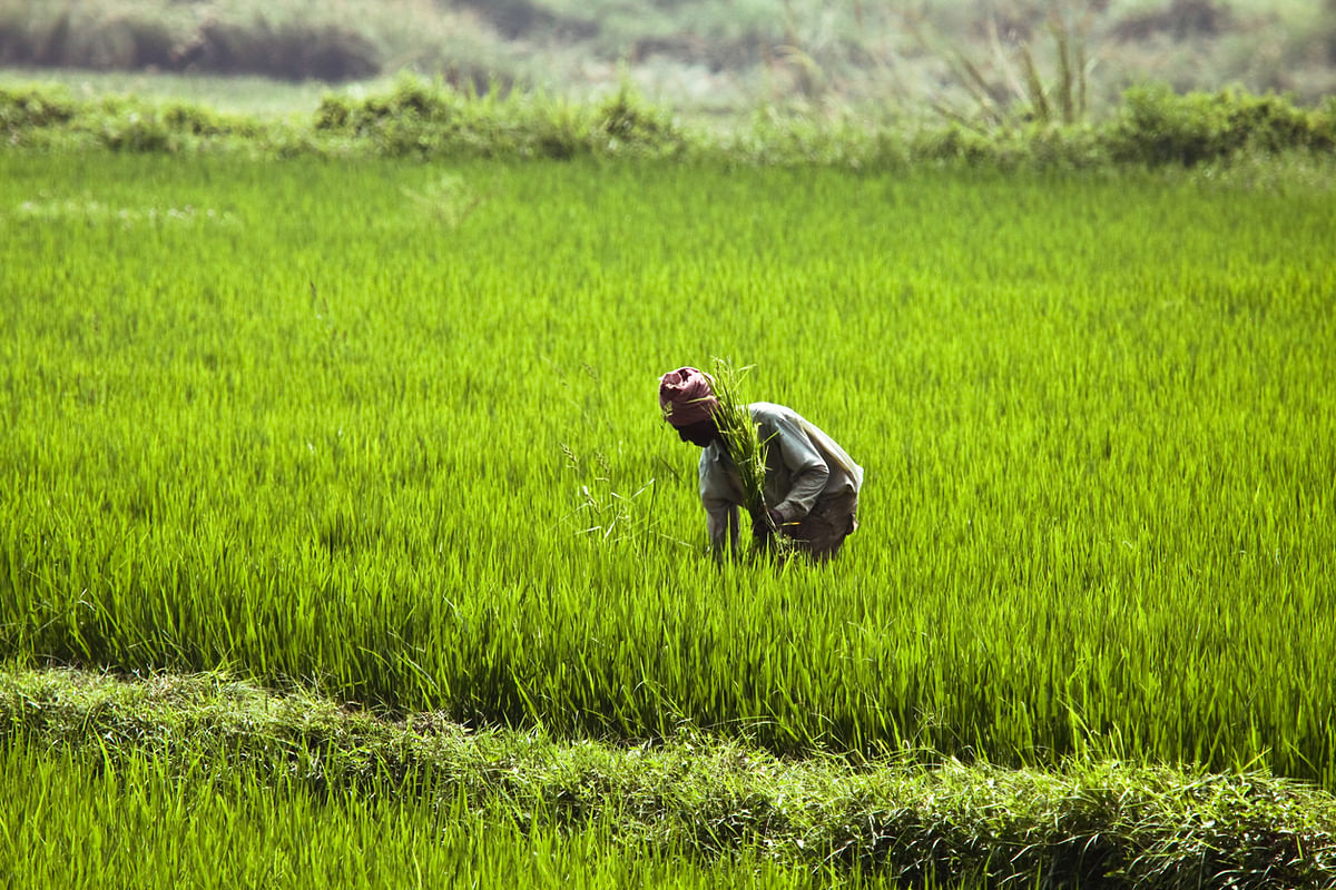 Govt approves changes in PMFBY to make it optional for farmers