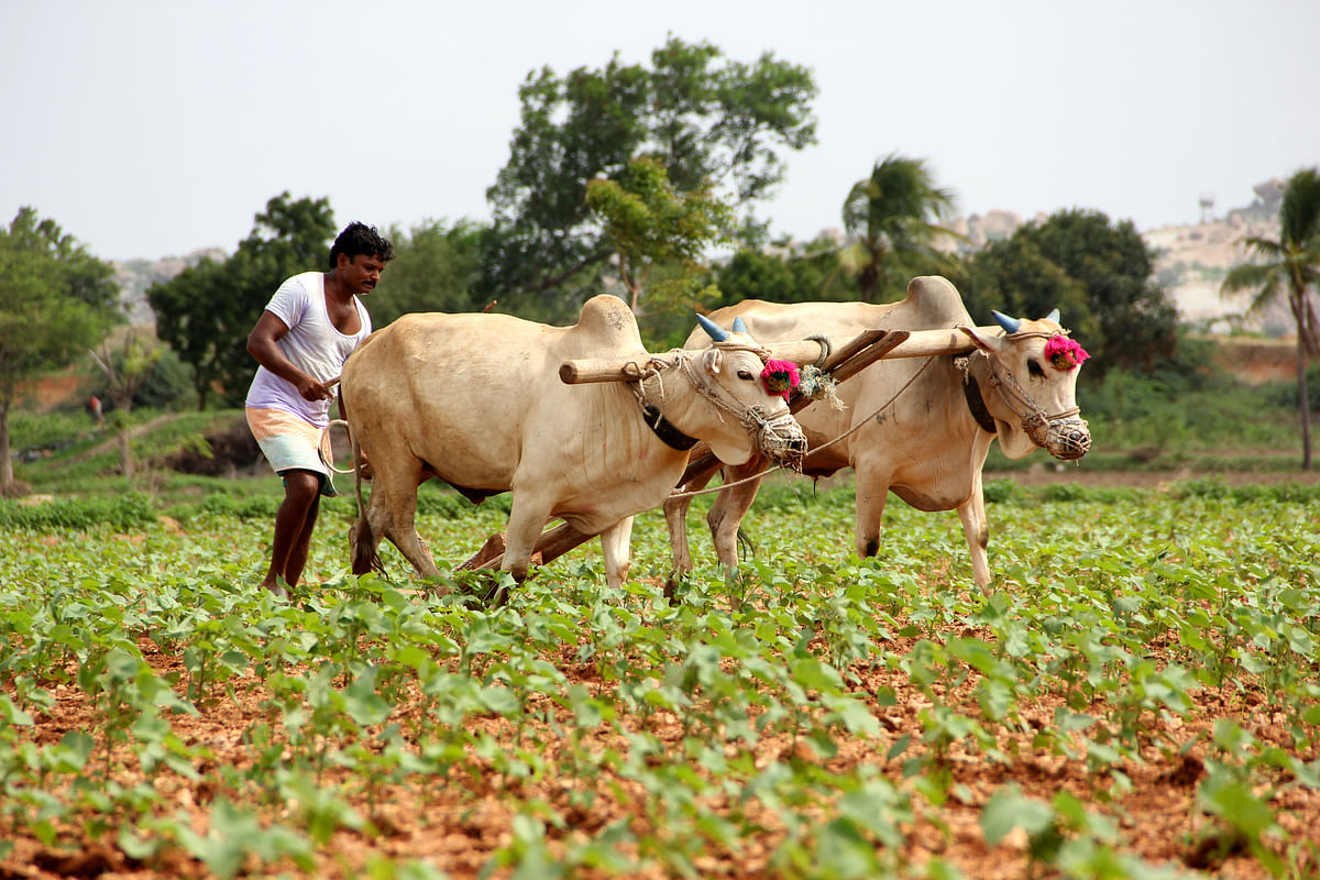 366 farmers held in Gujarat after clash with cops
