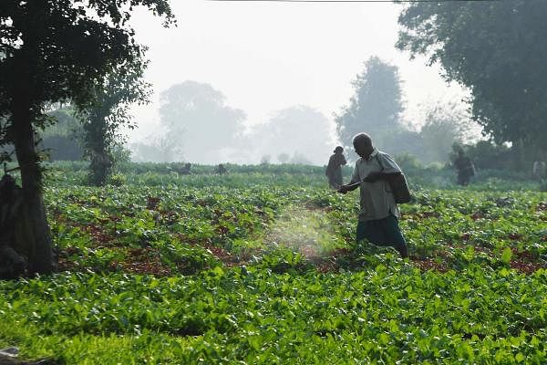 Crop loans of over 2 lakh farmers yet to be waived