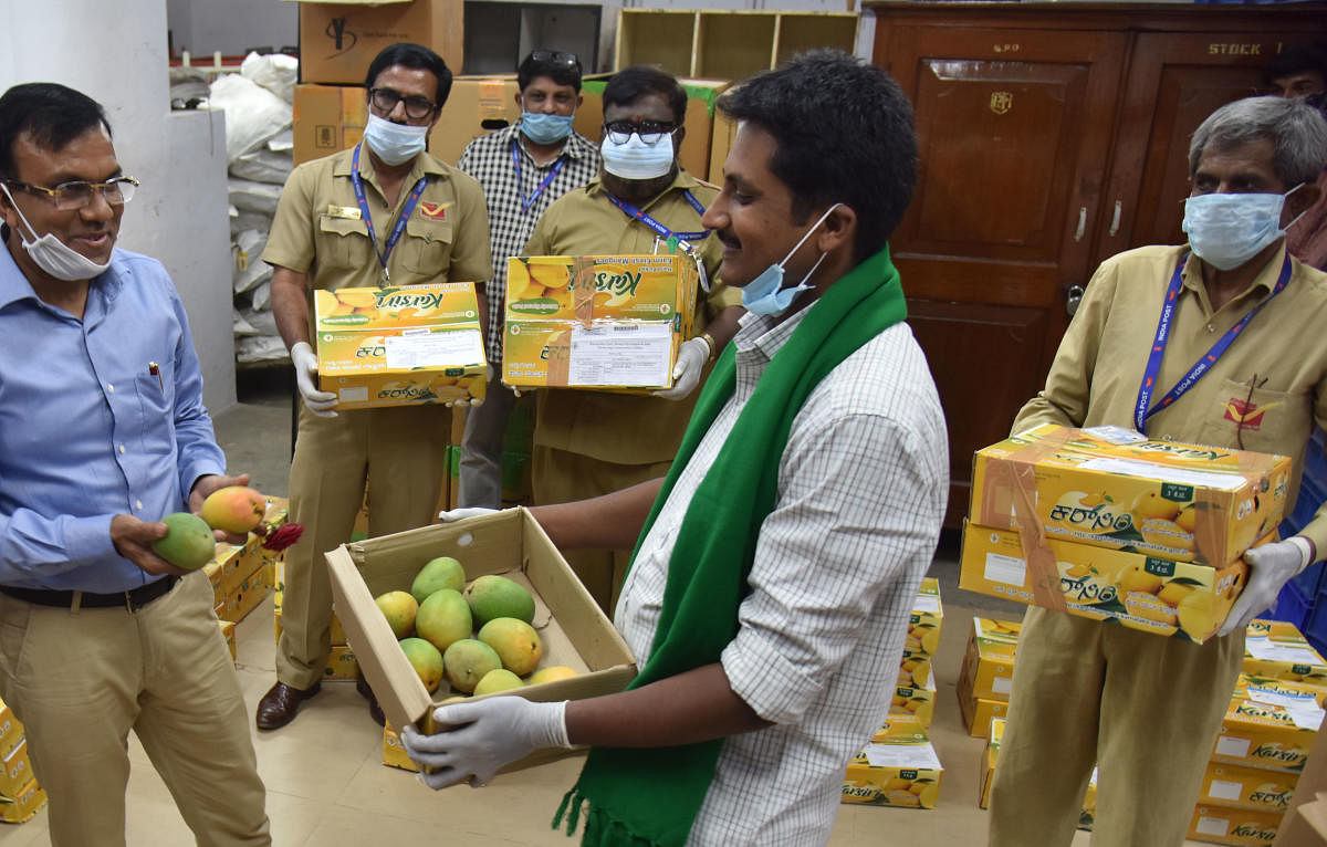 Mango Board to link farmers, consumers and bulk buyers