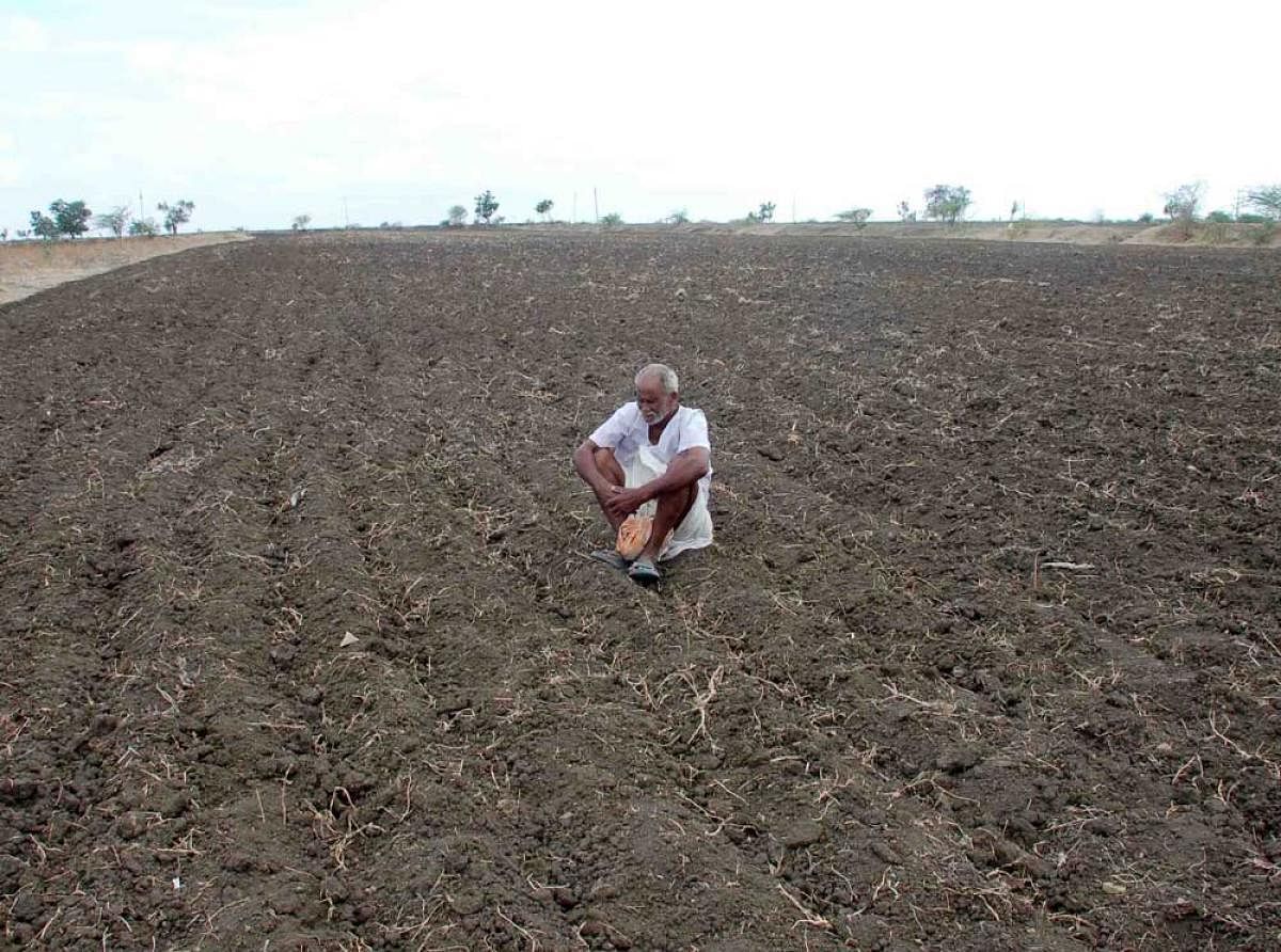 86 taluks drought-hit, crop loss Rs 8,000 cr