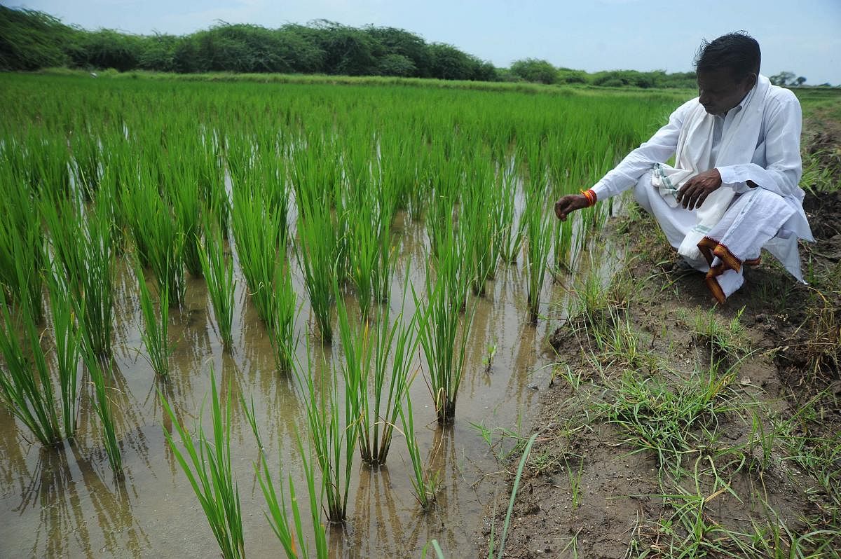 Karnataka to give Rs 10,000 more per acre to farmers