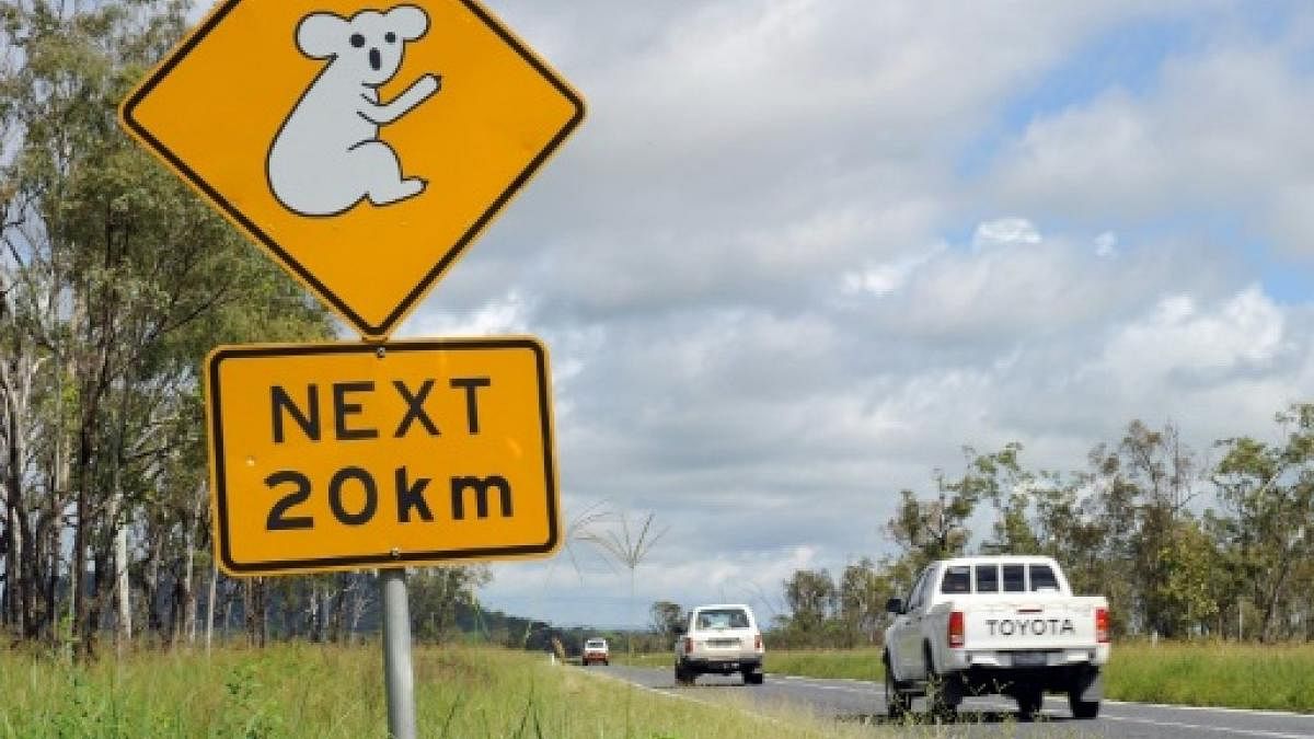 Aussie kids take stolen car on 1,000-km road trip