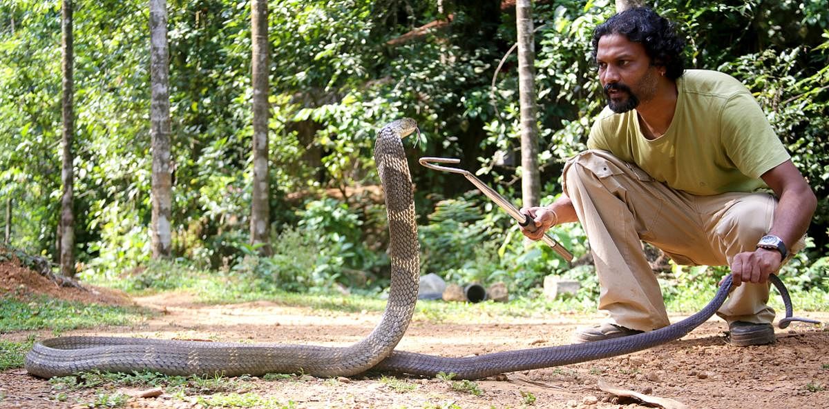 Wildlife biologist shares snake secrets on show