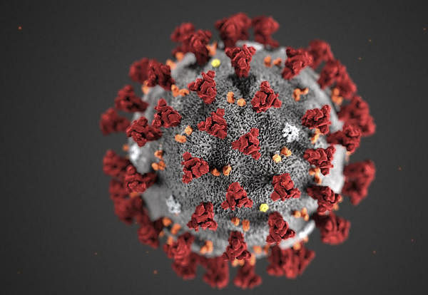 Coronavirus: How a virus changed our lives forever