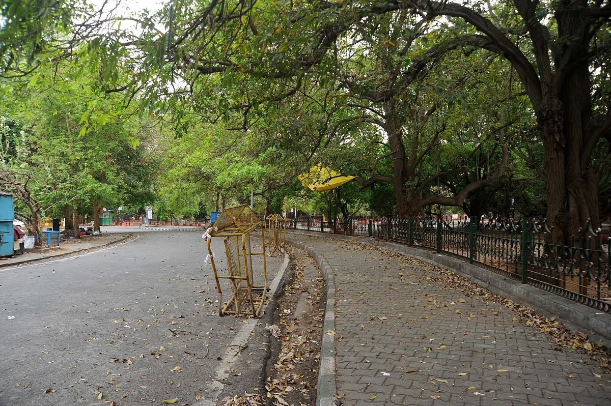 COVID-19: DIG's private walk in Cubbon Park leads to suspension of Horticulture Dept official