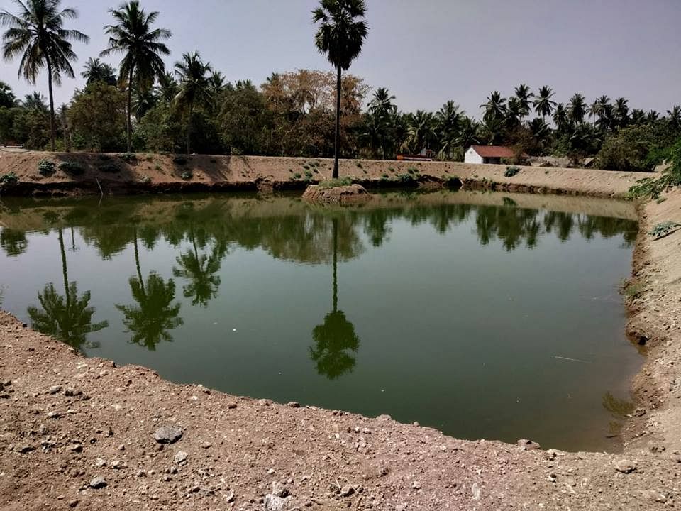 To tackle TN’s water woes, revive local water bodies