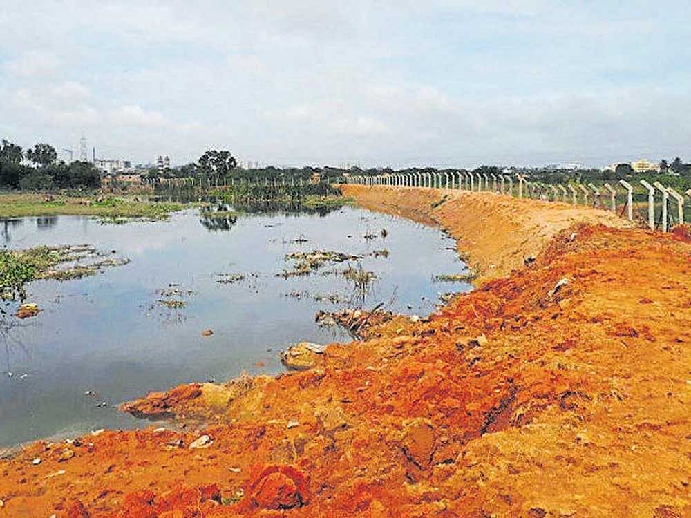 Widening Varthur road unlikely to affect lake: BBMP