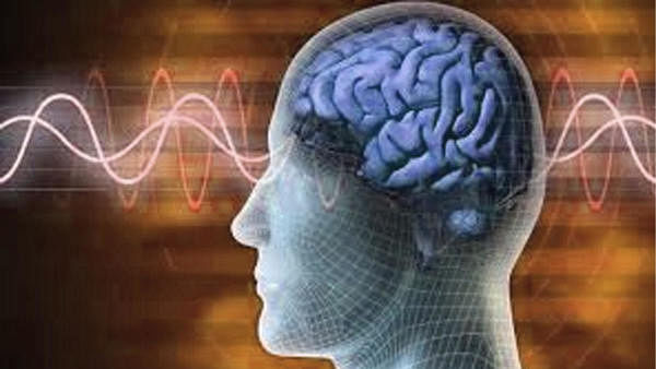 IIT Guwahati's algorithm to encode brain networks of healthy humans, patients with Parkinson's