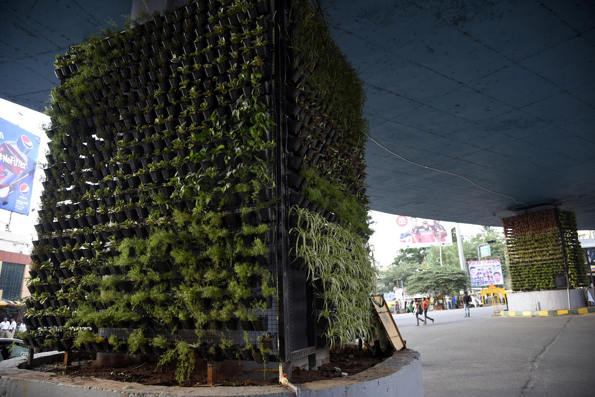 Vertical gardens likely on 25% of Namma Metro piers