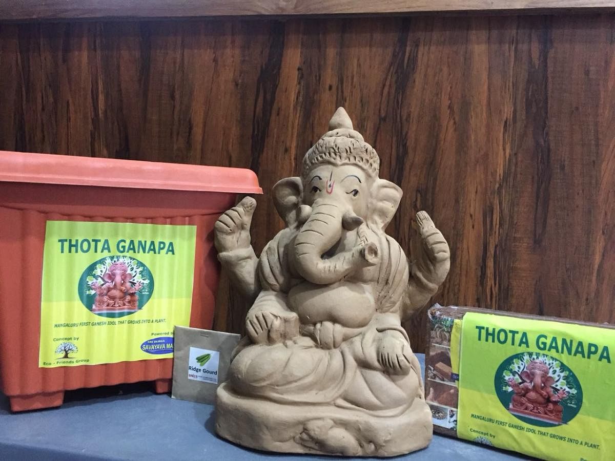Go for Ganesha idols that grow into plants